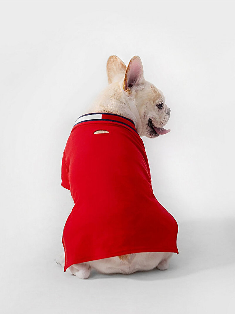 Köpek Polo T-shirt Kırmızı T2FDAP0020KR1