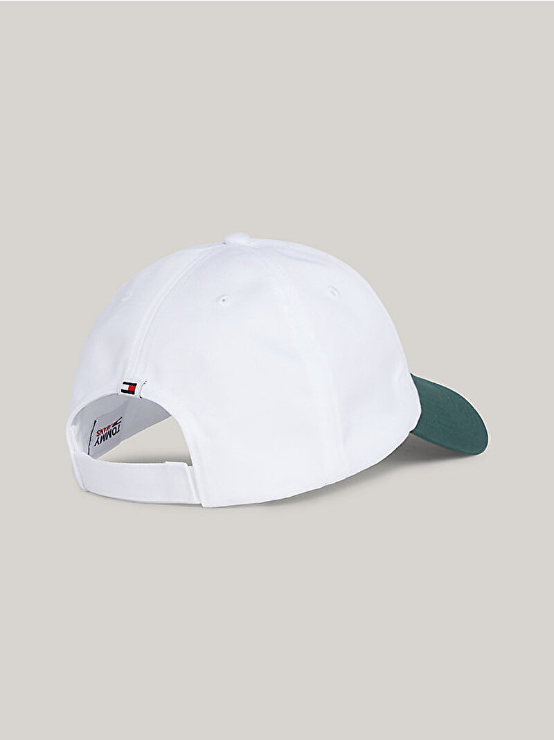 Erkek Tjm Linear Logo Şapka Çok renkli AM0AM120240K4