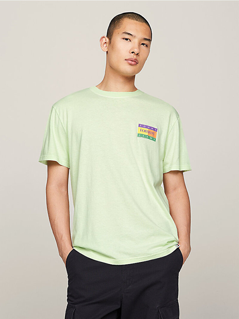 Erkek Tjm Reg Summer Flag T-Shirt Yeşil DM0DM19171LXY