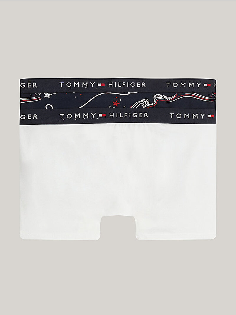 Erkek Çocuk 2'Lı Trunk Boxer Seti Çok renkli UB0UB005500W7