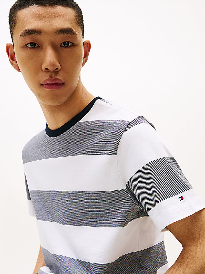 Erkek Regular Fit Striped T-Shirt Çok renkli MW0MW386490A4