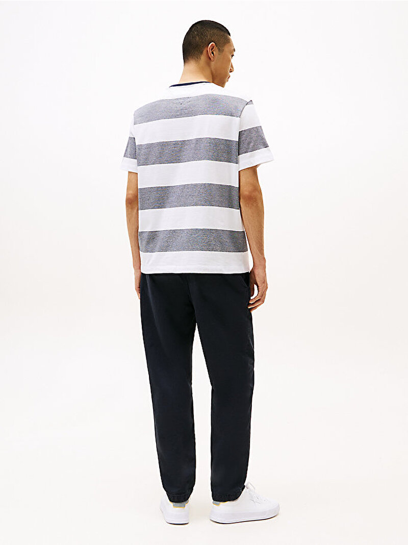 Erkek Regular Fit Striped T-Shirt Çok renkli MW0MW386490A4