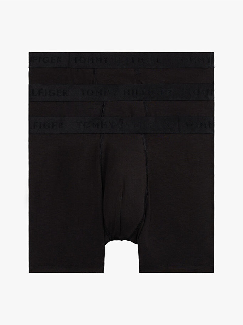 Alternate Text