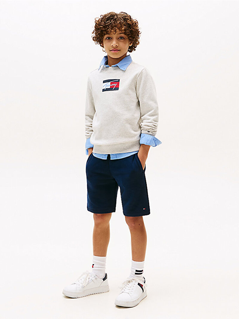 Erkek Çocuk Tommy Flag Sweatshirt Gri KB0KB09741P09