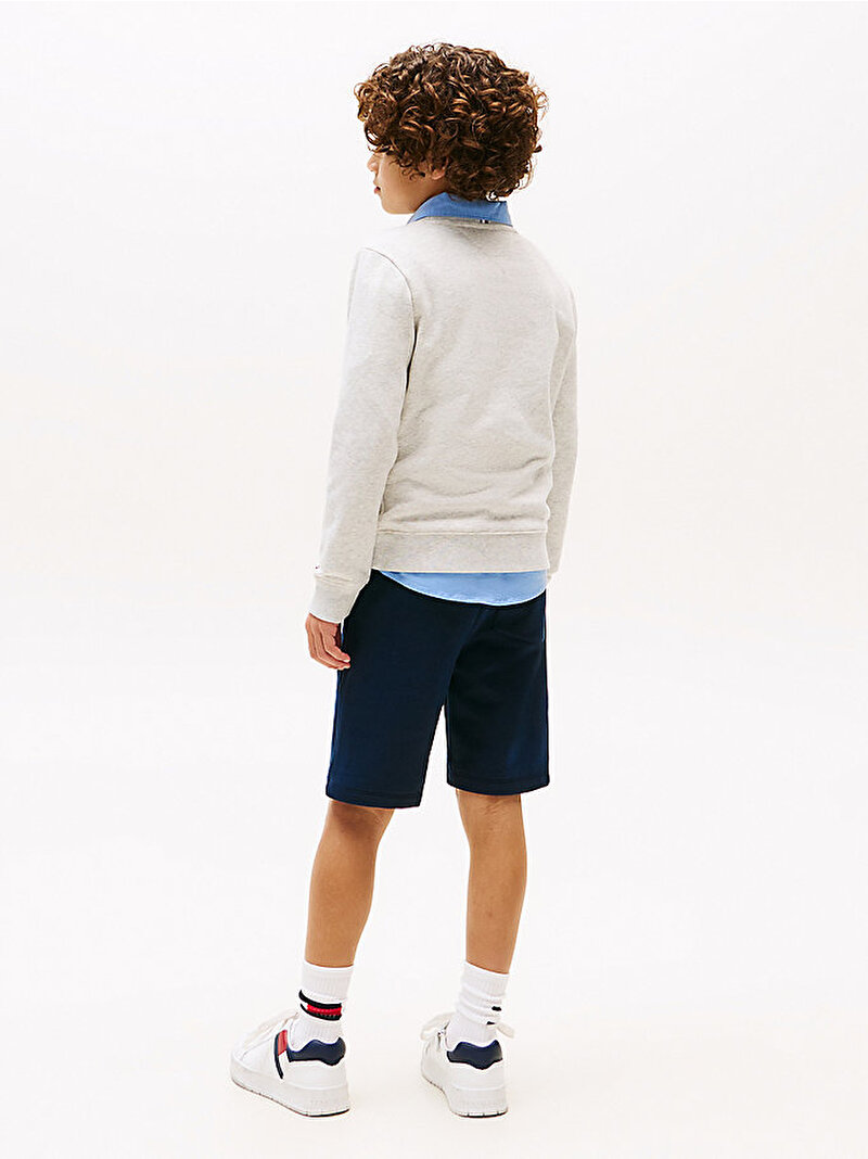 Erkek Çocuk Tommy Flag Sweatshirt Gri KB0KB09741P09