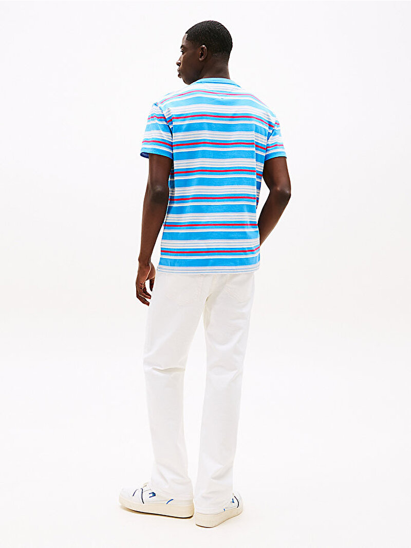 Erkek TJM Regular Flag Stripe T-shirt Mavi  DM0DM21784C39