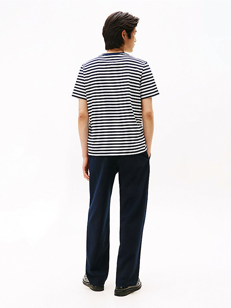 Erkek Essential Regular Fit Stripe T-shirt Çok renkli MW0MW413780A4