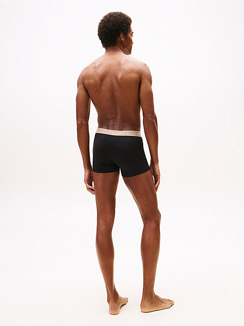 Erkek 3'lü Paket Trunk Boxer Çok renkli UM0UM034570SJ