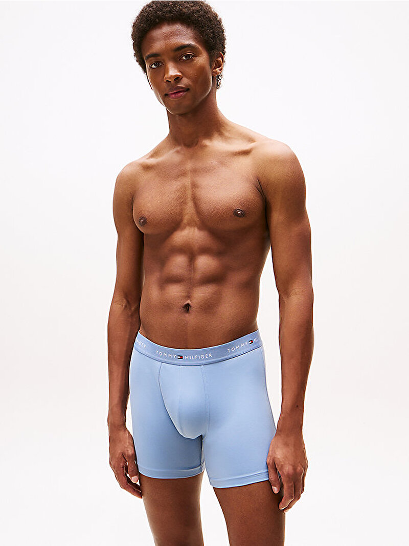 Erkek 3'lü Paket Brief Boxer Çok renkli UM0UM036180XF