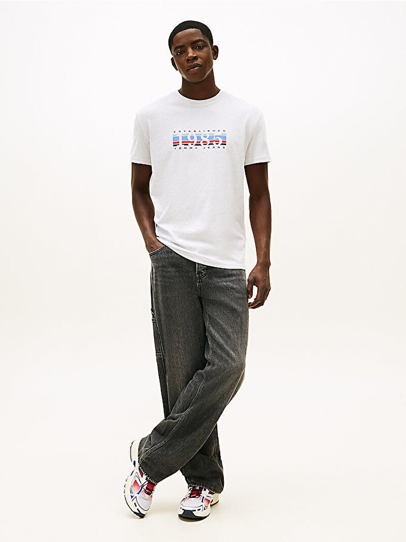 Erkek TJM Regular 1985 Dna T-shirt Gri DM0DM22307P08