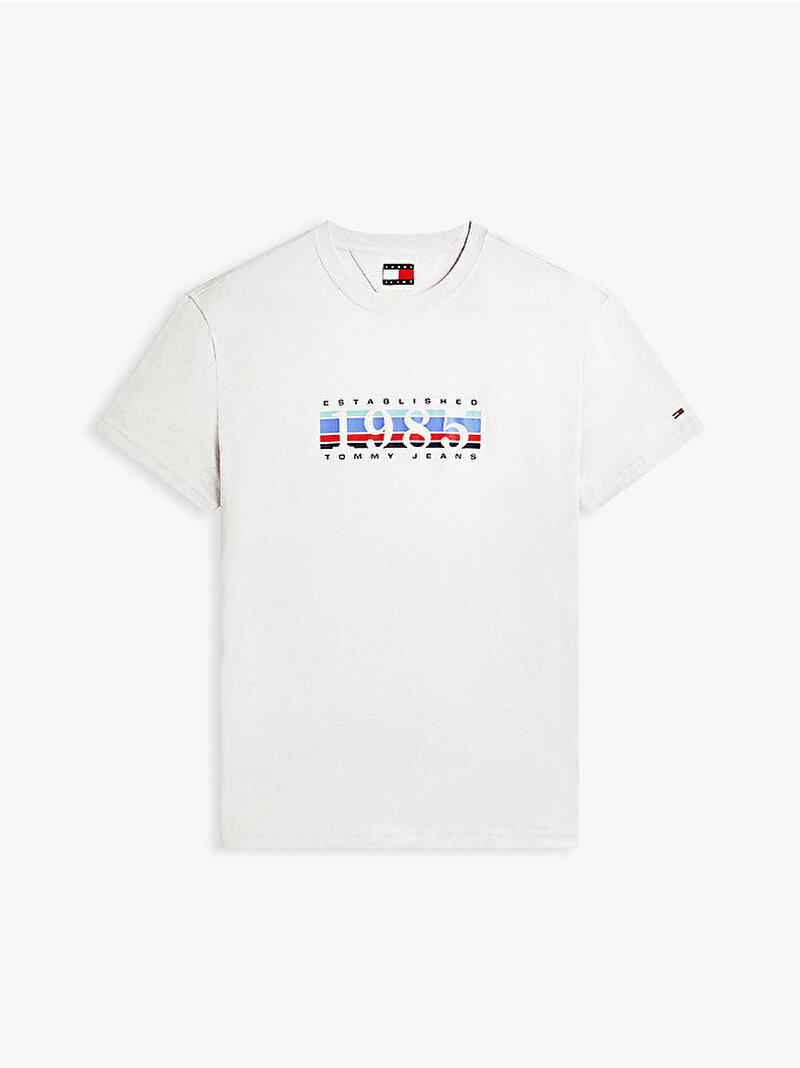 Erkek TJM Regular 1985 Dna T-shirt Gri DM0DM22307P08