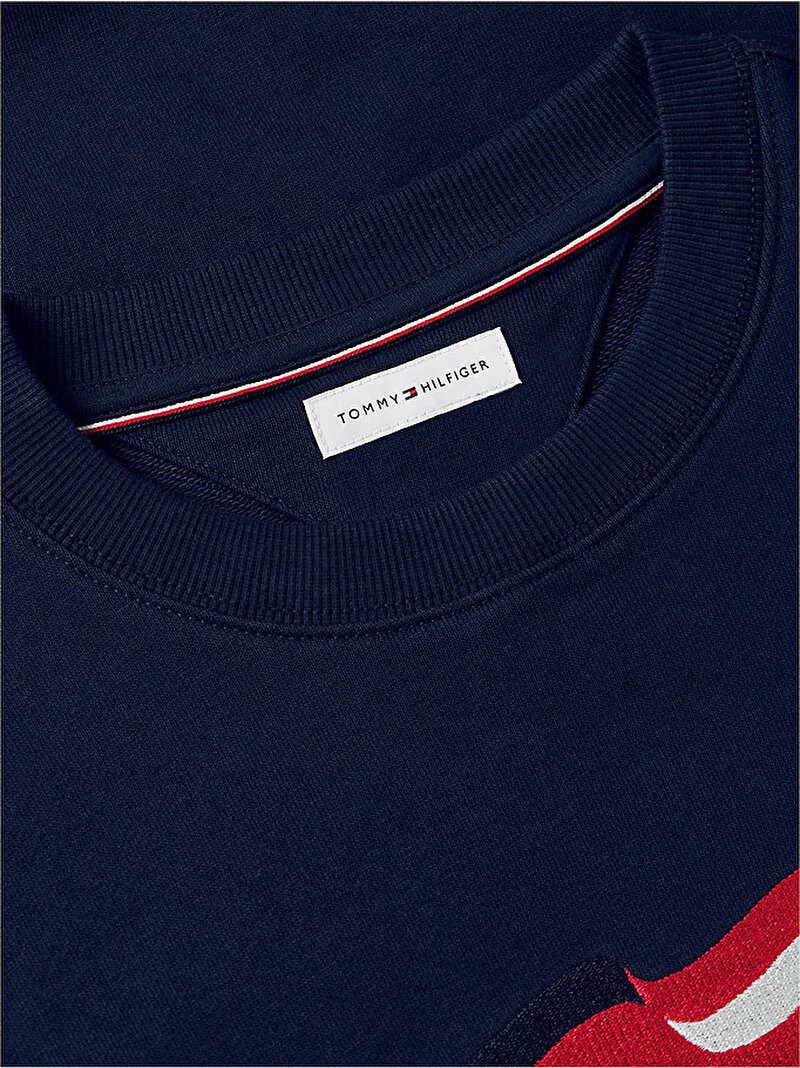 Erkek RWB Main Flag Terry Sweatshirt Lacivert MW0MW43383DCC