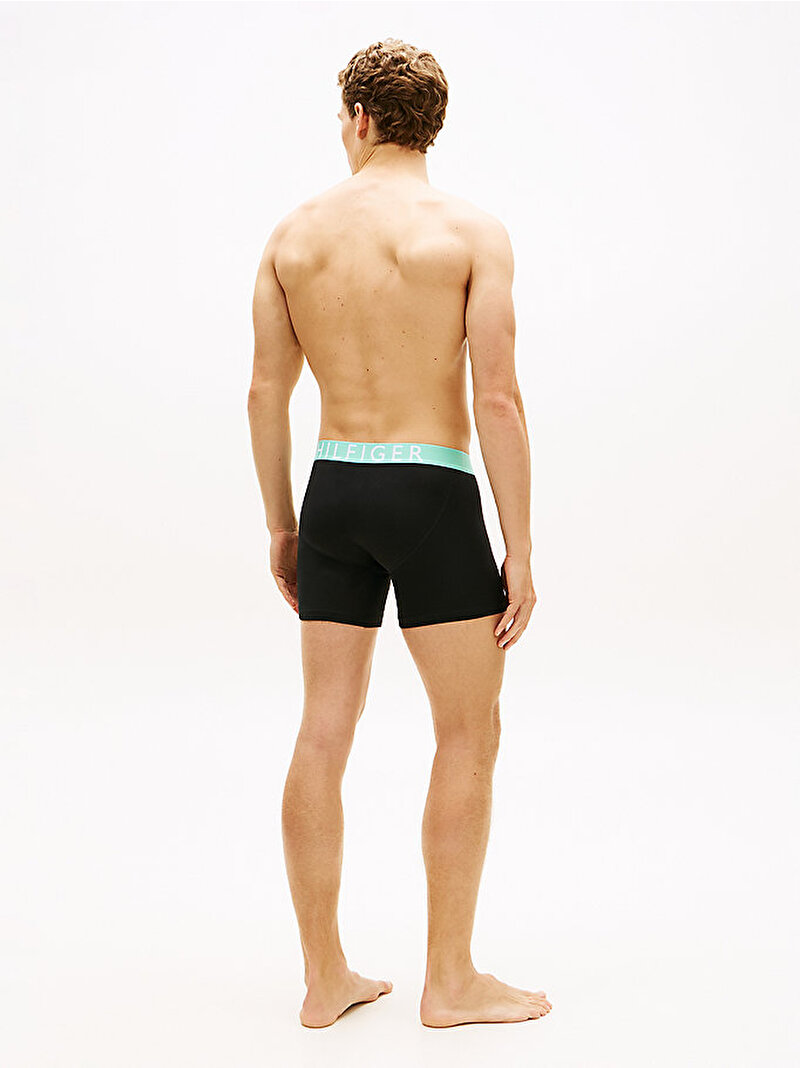 Erkek 3'lü Paket Brief Boxer Çok renkli UM0UM037540V6