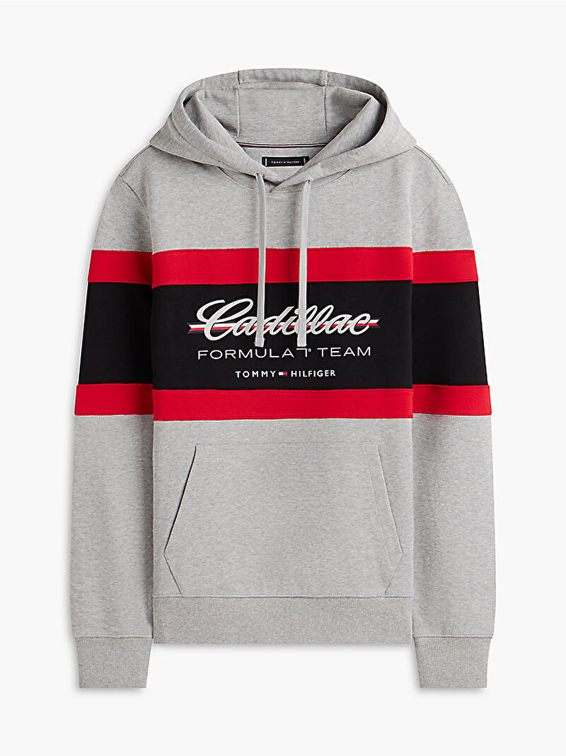 Unisex TH X CF1 Panelled Sweatshirt Gri MN0MN00085P01