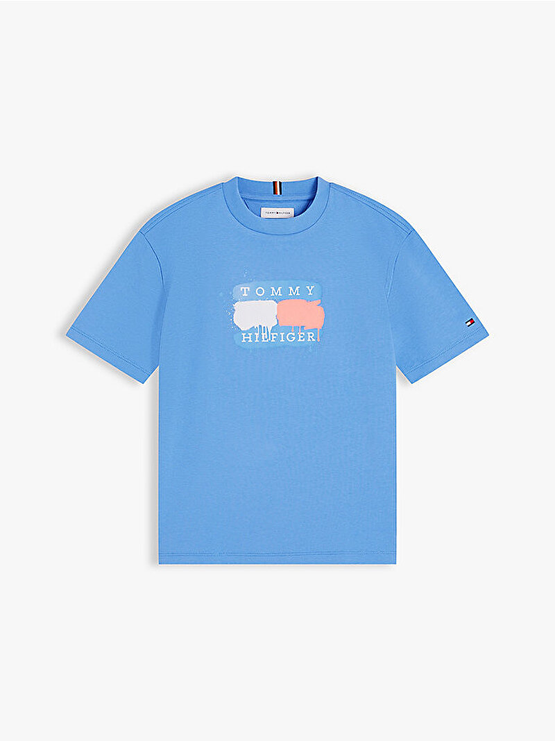 Erkek Çocuk Tommy Flag Graffiti T-shirt Mavi KB0KB10546C39