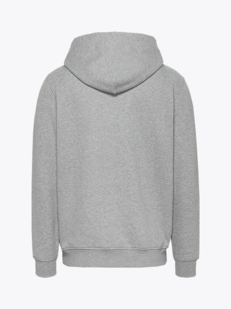 Erkek Tjm Reg Badge Hoodie Gri DM0DM20258P6N