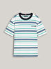 Erkek Çocuk Monotype Stripes T-Shirt