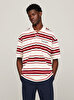 Erkek Stripe Honeycomb Polo T-Shirt