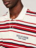 Erkek Stripe Honeycomb Polo T-Shirt