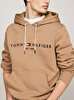 Erkek Tommy Logo Hoodie