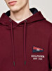 Erkek Flag Hilfiger Hoodie