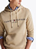 Erkek Tommy Logo Hoodie
