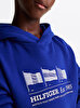 Erkek Çocuk Waving Flag Hoodie