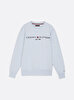 Erkek Tommy Logo Sweatshirt