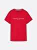 Erkek Tommy Logo T-Shirt