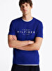 Erkek Big Hilfiger T-Shirt