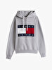 Erkek Tjm Melange Flag Hoodie