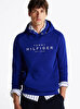 Erkek Tommy Hilfiger Hoodie