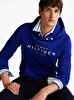 Erkek Tommy Hilfiger Hoodie