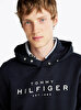 Erkek Tommy Hilfiger Hoodie
