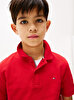 Erkek Çocuk Flag Polo T-Shirt