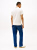 Erkek Vertical Stripe Polo T-Shirt