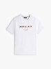 Erkek Hilfiger Multi Flags T-Shirt