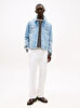 Erkek Regular Trucker Denim Ceket