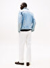 Erkek Regular Trucker Denim Ceket