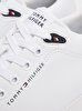 Erkek TH Vulcanic Core Low Sneaker