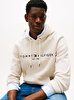 Erkek Tommy Logo Hoodie