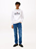 Erkek Icon Hilfiger Hoodie