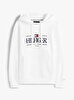 Erkek Icon Hilfiger Hoodie