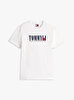 Erkek TJM Regular Tommy T-shirt