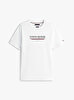 Erkek Brand Love Hilfiger T-shirt