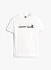 Erkek TJM Regular Badge Play T-shirt