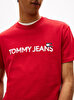 Erkek TJM Regular Badge Play T-shirt