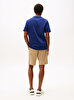 Erkek Varsity Hilfiger T-shirt