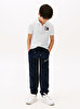 Erkek Çocuk TOMMY Flag Polo T-shirt