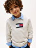 Erkek Çocuk Tommy Flag Sweatshirt